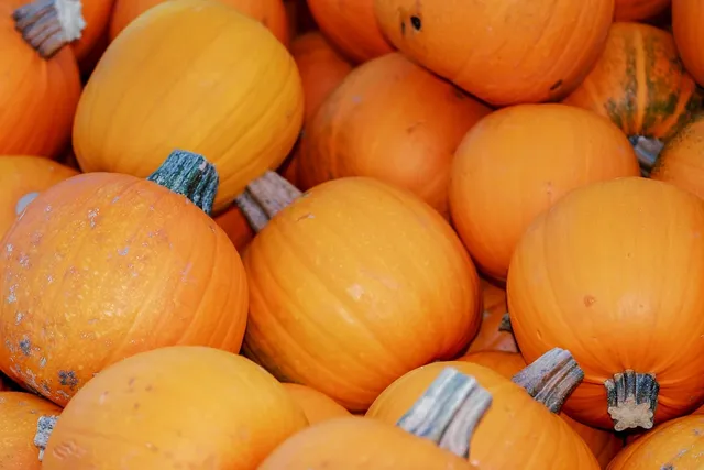 Un premier Thanksgiving au pays de l’Oncle Sam